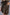 NEA PAPER BAG WAIST SHORTS